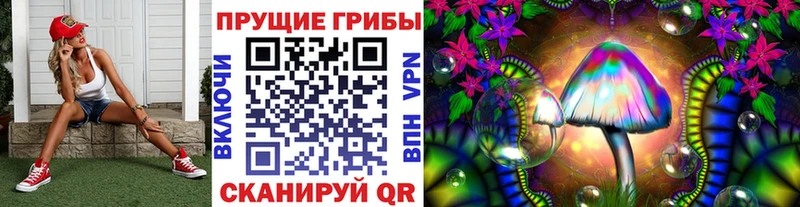 OMG маркетплейс  купить  цена  Опочка  Галлюциногенные грибы Magic Shrooms 