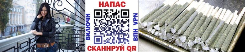Конопля MAZAR  Опочка 